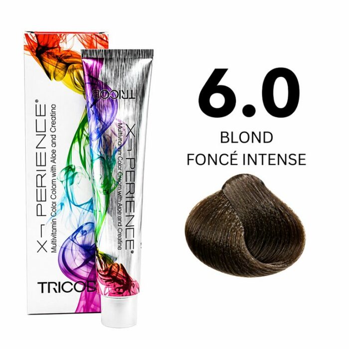 X-PERIENCE 6.0 X-PERIENCE 6.0