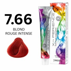 X-PERIENCE 7.66