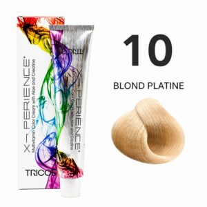X-PERIENCE 10