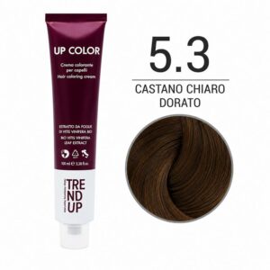 5.3 TREND-UP HAIR COLOR 100ML