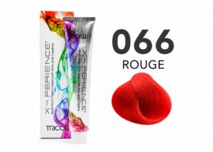 X-PERIENCE 066