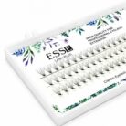 4433 image 2